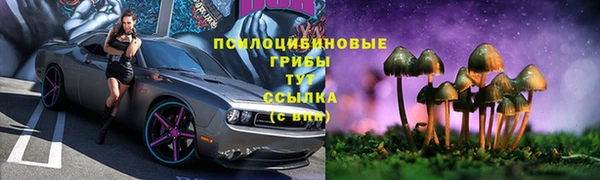 эйфоретик Зеленокумск