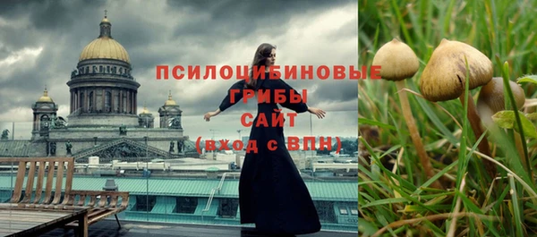 Альфа ПВП Зерноград