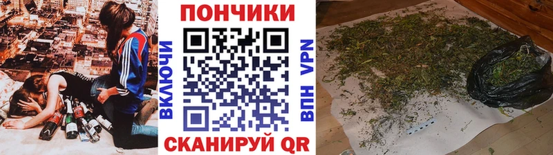 Купить закладки  Костомукша  Конопля тримм 